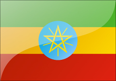 埃塞俄比亚电子签证