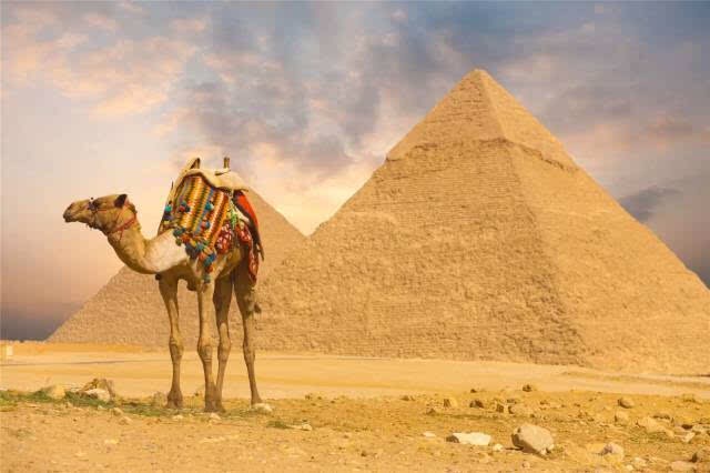 【3月】埃及（亚历山大+孟菲斯+卢克索+红海3N）11天神秘之旅（上海往返）