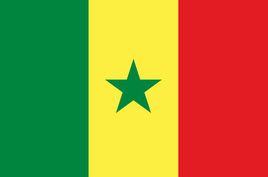 塞内加尔个人旅游签证