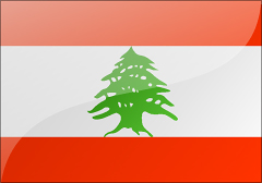 黎巴嫩个人商务签证