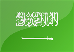 沙特阿拉伯个人商务签证